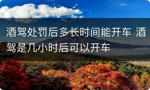 酒驾处罚后多长时间能开车 酒驾是几小时后可以开车