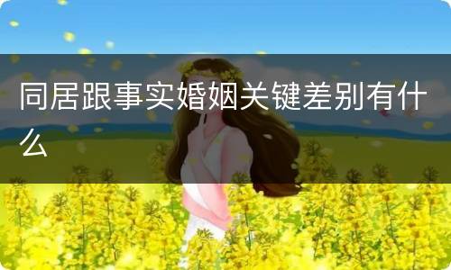 同居跟事实婚姻关键差别有什么