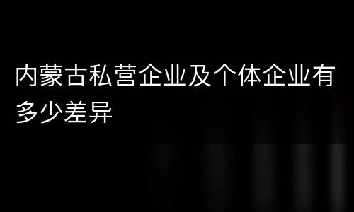 内蒙古私营企业及个体企业有多少差异