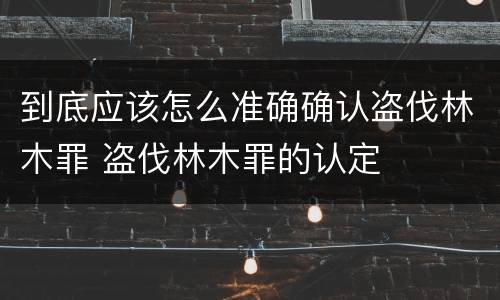 到底应该怎么准确确认盗伐林木罪 盗伐林木罪的认定