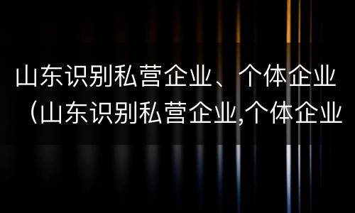 山东识别私营企业、个体企业（山东识别私营企业,个体企业是什么）