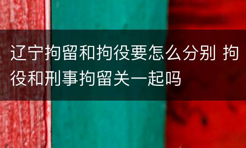 辽宁拘留和拘役要怎么分别 拘役和刑事拘留关一起吗