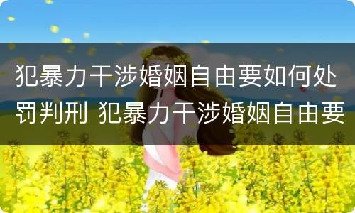 犯暴力干涉婚姻自由要如何处罚判刑 犯暴力干涉婚姻自由要如何处罚判刑几年