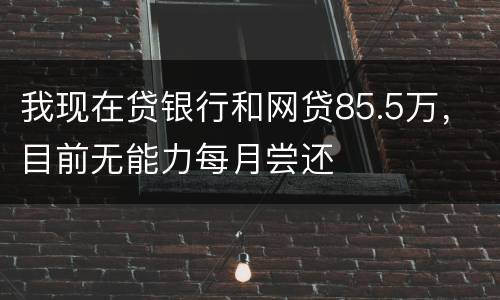 我现在贷银行和网贷85.5万，目前无能力每月尝还