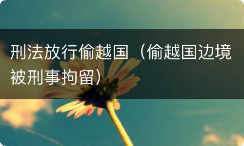 刑法放行偷越国（偷越国边境被刑事拘留）