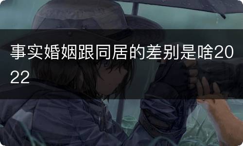 事实婚姻跟同居的差别是啥2022