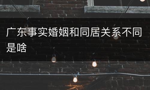 广东事实婚姻和同居关系不同是啥