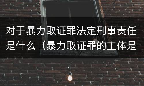 对于暴力取证罪法定刑事责任是什么（暴力取证罪的主体是）