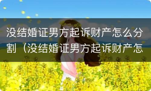 没结婚证男方起诉财产怎么分割（没结婚证男方起诉财产怎么分割呢）