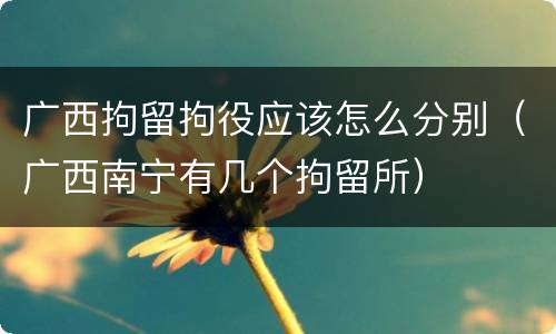 广西拘留拘役应该怎么分别（广西南宁有几个拘留所）