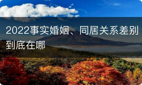 2022事实婚姻、同居关系差别到底在哪