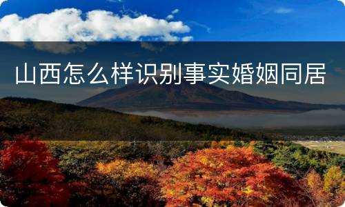 山西怎么样识别事实婚姻同居