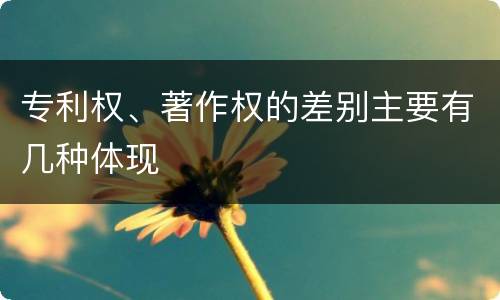 专利权、著作权的差别主要有几种体现