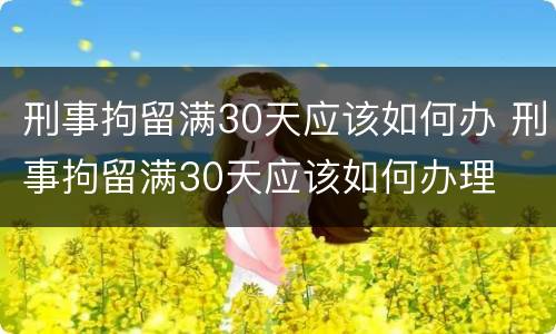 刑事拘留满30天应该如何办 刑事拘留满30天应该如何办理