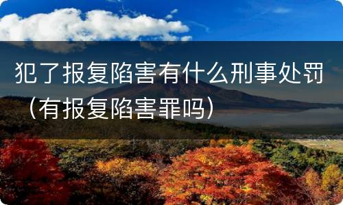 犯了报复陷害有什么刑事处罚（有报复陷害罪吗）