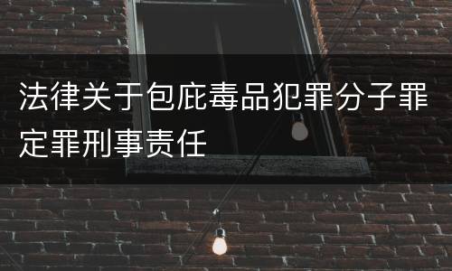 法律关于包庇毒品犯罪分子罪定罪刑事责任