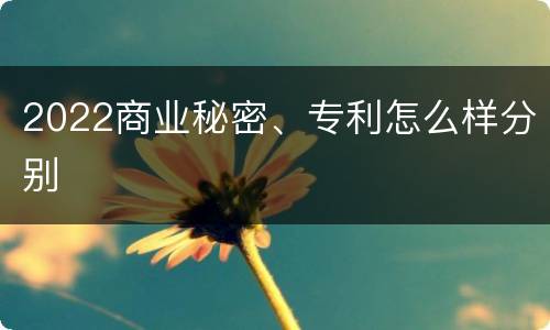 2022商业秘密、专利怎么样分别