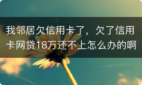 我邻居欠信用卡了，欠了信用卡网贷18万还不上怎么办的啊