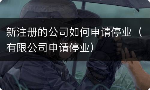 新注册的公司如何申请停业（有限公司申请停业）