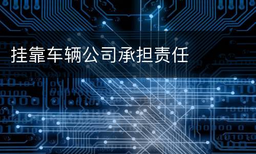 挂靠车辆公司承担责任