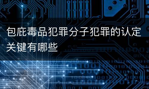 包庇毒品犯罪分子犯罪的认定关键有哪些