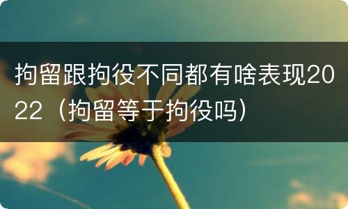 拘留跟拘役不同都有啥表现2022（拘留等于拘役吗）