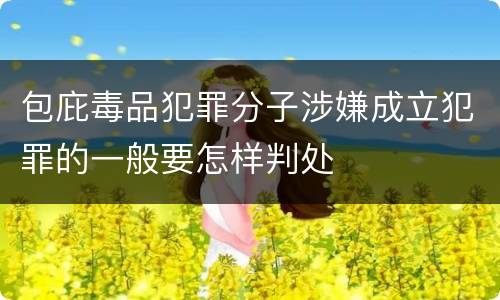 包庇毒品犯罪分子涉嫌成立犯罪的一般要怎样判处