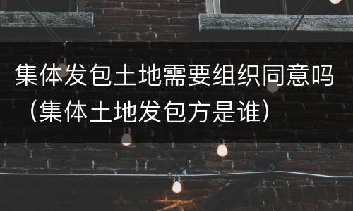 集体发包土地需要组织同意吗（集体土地发包方是谁）