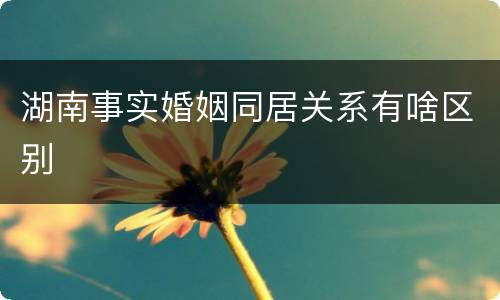 湖南事实婚姻同居关系有啥区别