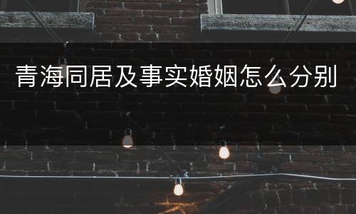 青海同居及事实婚姻怎么分别
