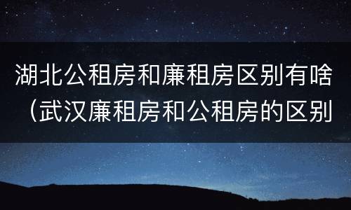 湖北公租房和廉租房区别有啥（武汉廉租房和公租房的区别）