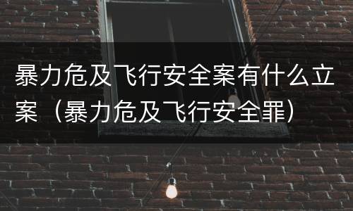 暴力危及飞行安全案有什么立案（暴力危及飞行安全罪）