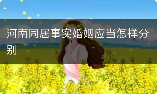 河南同居事实婚姻应当怎样分别