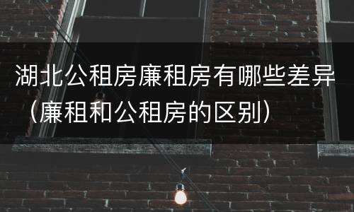 湖北公租房廉租房有哪些差异（廉租和公租房的区别）