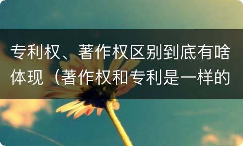 专利权、著作权区别到底有啥体现（著作权和专利是一样的吗）