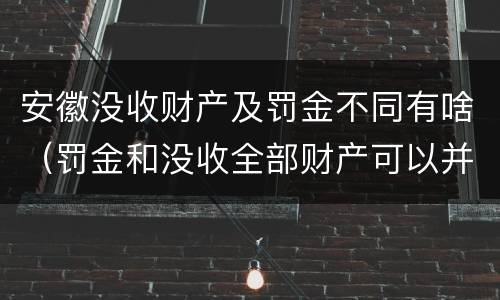 安徽没收财产及罚金不同有啥（罚金和没收全部财产可以并用吗）