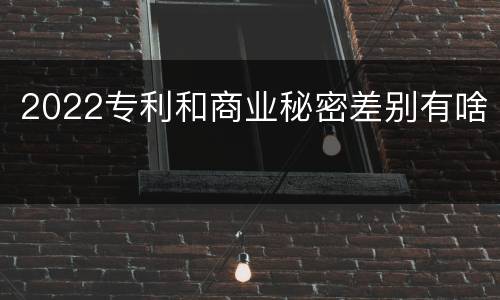 2022专利和商业秘密差别有啥