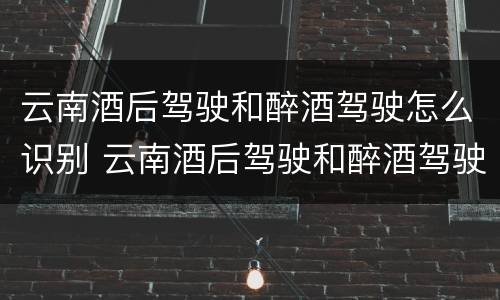 云南酒后驾驶和醉酒驾驶怎么识别 云南酒后驾驶和醉酒驾驶怎么识别的