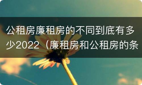 公租房廉租房的不同到底有多少2022（廉租房和公租房的条件）