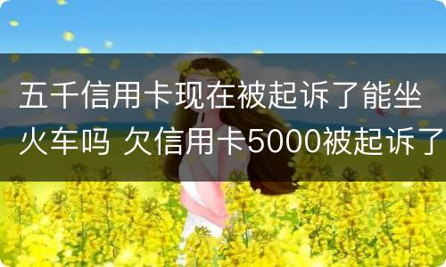 五千信用卡现在被起诉了能坐火车吗 欠信用卡5000被起诉了