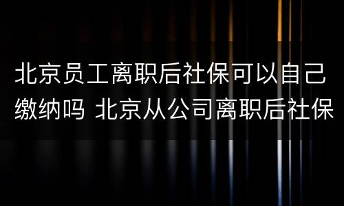北京员工离职后社保可以自己缴纳吗 北京从公司离职后社保怎么继续交