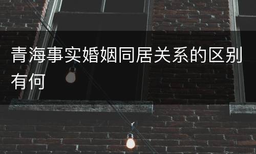 青海事实婚姻同居关系的区别有何