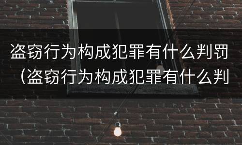 盗窃行为构成犯罪有什么判罚（盗窃行为构成犯罪有什么判罚标准）