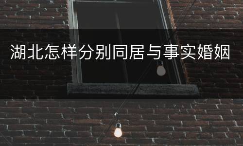 湖北怎样分别同居与事实婚姻