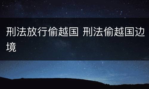 刑法放行偷越国 刑法偷越国边境