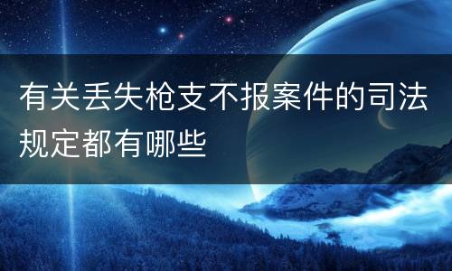 有关丢失枪支不报案件的司法规定都有哪些