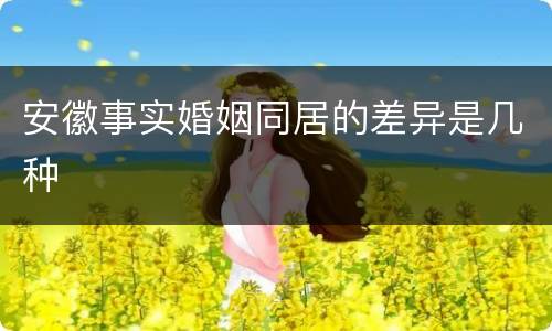 安徽事实婚姻同居的差异是几种