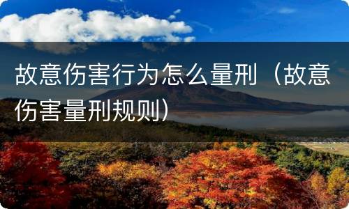 故意伤害行为怎么量刑（故意伤害量刑规则）