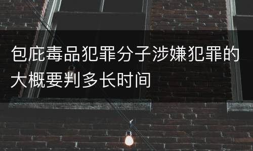 包庇毒品犯罪分子涉嫌犯罪的大概要判多长时间