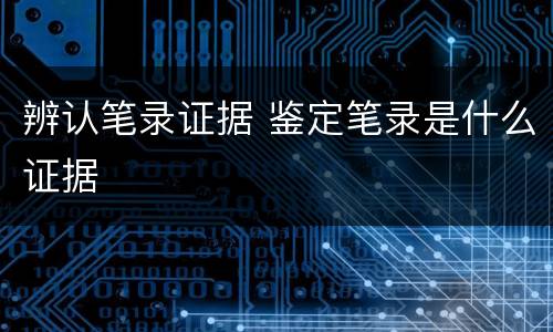 辨认笔录证据 鉴定笔录是什么证据